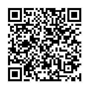 自然一个个都争先恐后的想要出去看看外面的世界二维码生成