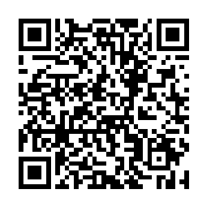 自然不会为了一个已经死了的人在和曾毅起什么争执二维码生成