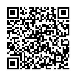 自然不会做出那种让自己被人所制形同傀儡的事二维码生成