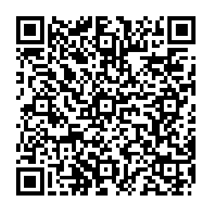 自然不会再有人为了寻找紫轩这么一个普通的精英弟子而大费周章来这南海边缘的二维码生成