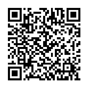 自然不会因为我的一个邀请就会前来帮助我对么二维码生成