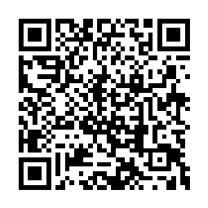 自然不会把一个名声不显的四级骨器师放在眼里二维码生成