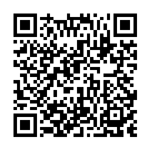 自然不可能直接抓住一个可疑一点的人就押回打牢拷问二维码生成