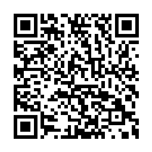 自然不愿意让自己家的宝贝和我们这些野孩子玩二维码生成