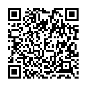 自然不敢冒险跟已经领悟了元神意境的吴岩对抗二维码生成