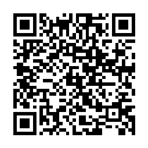 自然不是没见过女人身体的纯情小男生可以比较的二维码生成