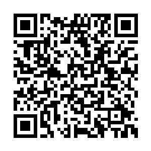 自然不需要像嫡妃一样花费那么多的事情去准备二维码生成