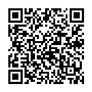 自然之心是与一种可以与自然界其他生灵交流的心灵能力二维码生成