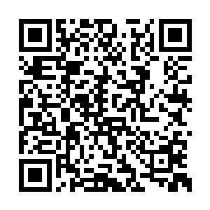 自然也不会注意到那磅礴的威压竟然绕过了他们二维码生成