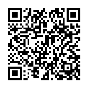 自然也不可能想到杨开在千幻梦境中的丰富经历二维码生成