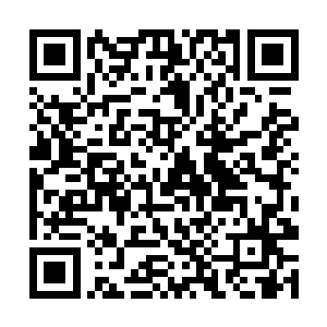 自然也就没有办法利用修罗来对付姬无相和百变星君二维码生成