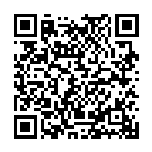 自然也就没有注意到这边叶笑已经出现了新的变化二维码生成