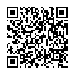 自然也引起了本土和来自世界各地所有媒体的关注二维码生成