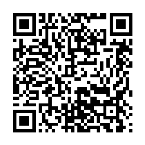 自然也无法看出修士的具体修为和妖虫魔兽的具体境界二维码生成