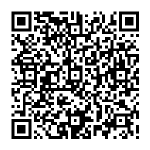 自然也有了不少本土的粉丝……考虑到大部分男粉都是奔着那四位挑大梁的妹子来的二维码生成
