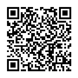 自然也有人回报给掌管东水关车船务事的拱卫大夫二维码生成
