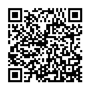 自然也能利用驭兽之术把当时的一些情况信息还原出来二维码生成