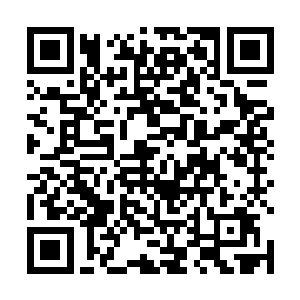自然也让小丫头对于还是很喜欢这个便宜教父来做客的二维码生成