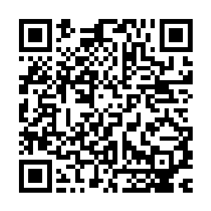 自然代言人的身份也需要配得上……梅根福克斯小姐来代言的话二维码生成