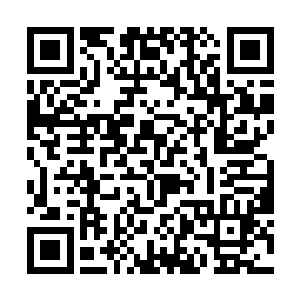 自然对巫族的习性却很是了解哪怕他们知道这是嫁祸二维码生成