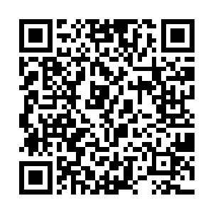 自然对方就没有余暇去破坏这个世界的规则和平衡了二维码生成