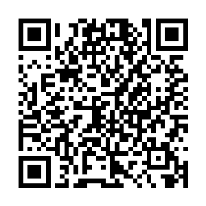 自然就可以自由自在的在自由的土地上自由的徜徉二维码生成