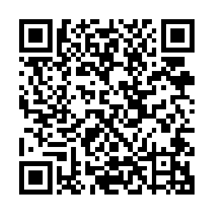 自然就是潜伏在下方海洋中的小龙了……秦方虽然拥有着水遁术二维码生成