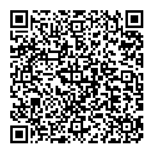 自然就是白兰这个矿工叙旧的大老板干活的时间了――本想自己在别墅里探险的妮娜也被他关进了办公室陪他一起同甘共苦二维码生成