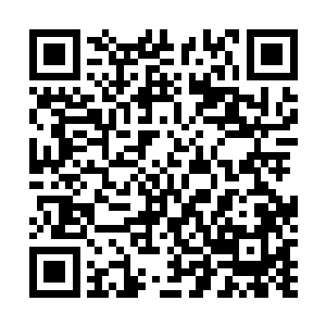 自然就是被新生们有意无意排挤的苏落小幼崽和唐雅岚了二维码生成