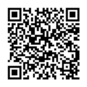 自然已经对经脉所能承受灵气和经脉自愈的速度二维码生成