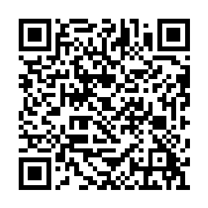 自然庞四海也丧失了唯一可以欺负李无花的机会二维码生成