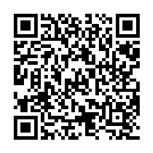 自然忍不住的看向了那星云状灵光上方的漆黑石门虚影二维码生成