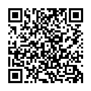 自然感受不到鹰眼天君之前感受到的那种恐怖压迫二维码生成