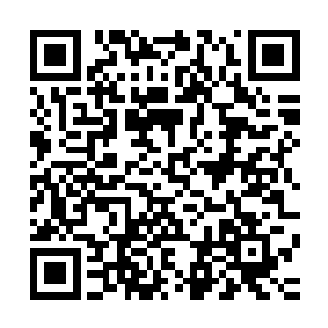 自然无法一下子就将这两具境界远超它太多的神王尸体给吞噬二维码生成