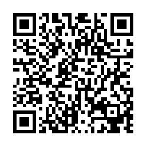 自然是不可能开启血脉力量的……如今都这么大了二维码生成