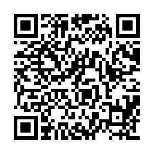 自然是乘着大战完结的时候让他们好好放松一下二维码生成