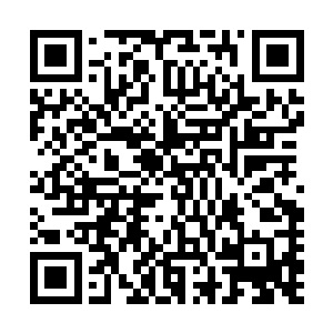 自然是从魔无极的身上感受到了一股无比恐怖的压迫的感觉二维码生成