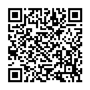 自然是和甄囚寺同为宗主夫人亲传弟子的何红娇二维码生成