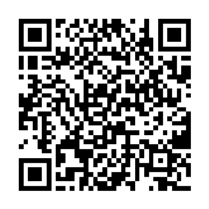 自然是因为其极高的出场率以及极低的存在感了……二维码生成