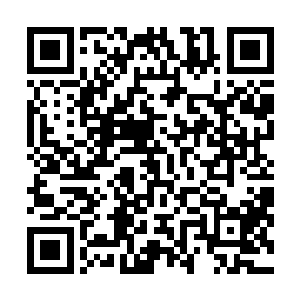 自然是愈发没有那闲工夫去寻本不相熟的未来大舅子吃酒二维码生成