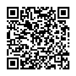 自然是有接待来将他们这些远道而来的强者们安排好二维码生成