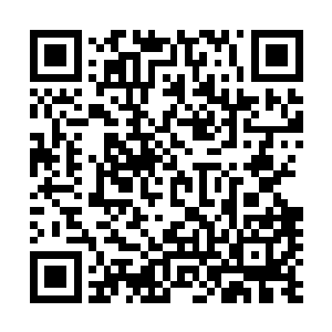 自然是知道小姐和司徒公子可是因为兴趣相投可是很亲近的二维码生成