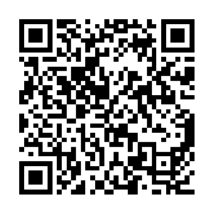 自然是被虽然低调但是同样逆天的萧霓裳承包咯二维码生成