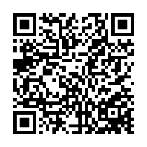 自然是要尽自己最大的努力庇护这些域主安然前往不回关二维码生成