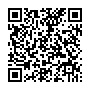 自然是跟着nv儿莫倩妮暂时居住在蔷薇家里的马桂芳二维码生成