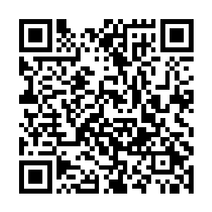 自然是那对自己一举一动都无比好奇的梅根福克斯了二维码生成