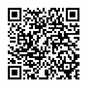 自然没有余力去催动王族秘术来墨化人族的八品开天二维码生成