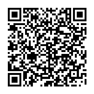 自然看到了安齐远在掐出屏蔽法阵之后就与苏澈一路咬着耳朵说话的情景二维码生成