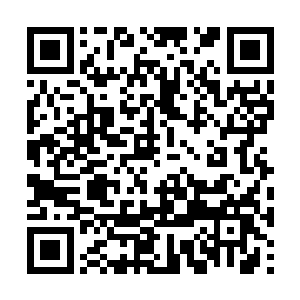 自然知道到了金丹期之后就可以使用丹火炼器炼丹二维码生成