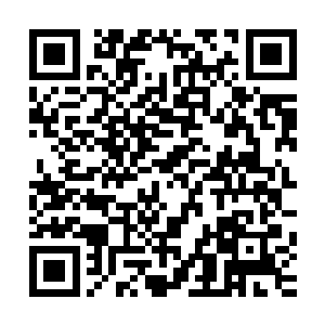 自然而然的让六道无悔的心仿佛被人握紧了一般的紧张和恐惧二维码生成